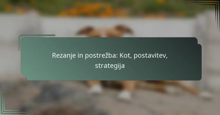 Rezanje in postrežba: Kot, postavitev, strategija